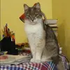 Отзыв от Алевтина Бочарова